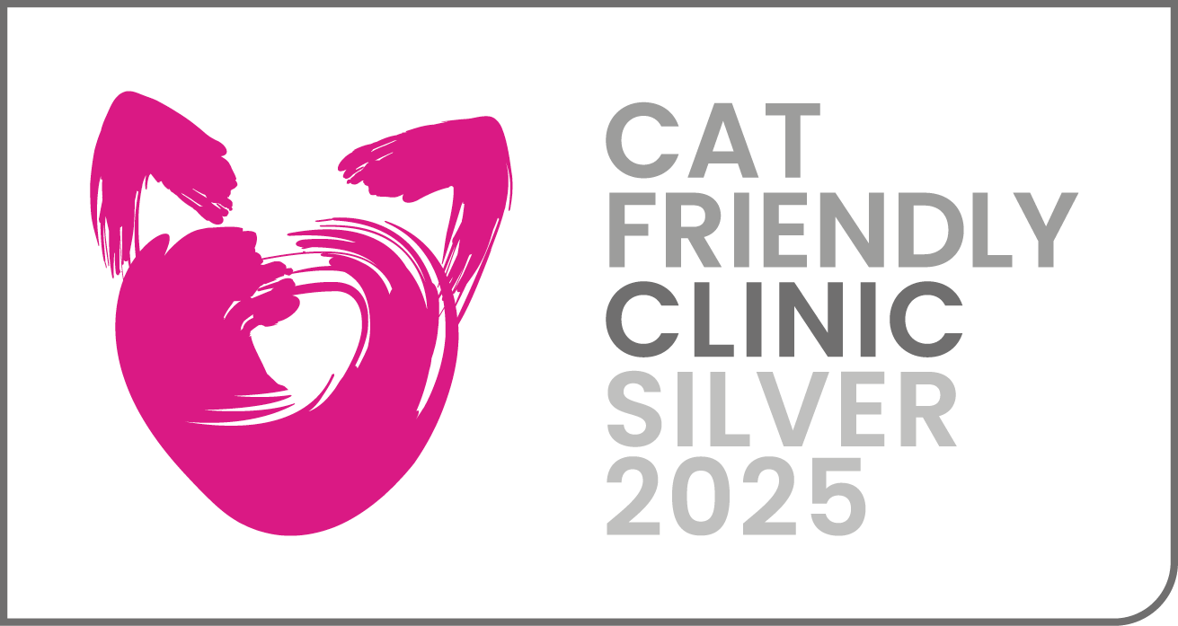 Cat-Friendly-Clinic-SILVER2025-logo-tierarztpraxis delbrueck